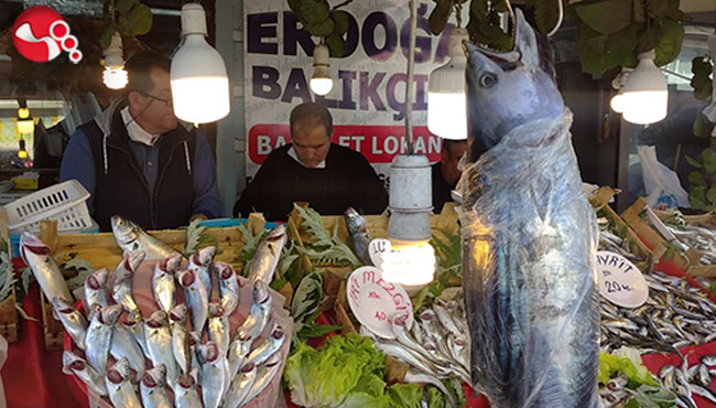 Karadeniz'de Torik Bereketi