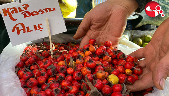 Kalp dostu Alıç meyvesi tezgahlarda yerini aldı