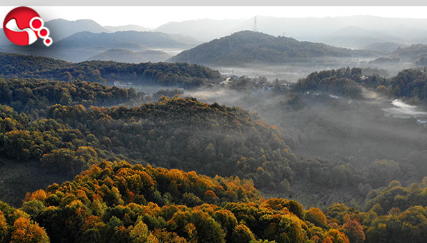 Sis manzarasıyla sabah güneşi