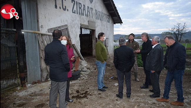 Manda Yoğurdunun yaygınlaşması için...