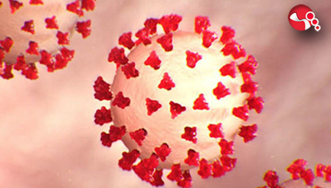 DSÖ durumu “ÇOK ENDİŞE VERİCİ” olarak değerlendirdi: İşte detaylar...