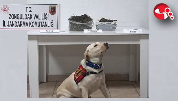 Uyuşturucu Maddeyle yakalandılar!..