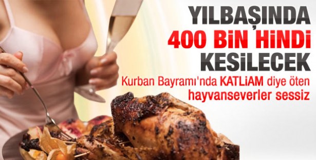 YILBAŞINDA 400 BİN HİNDİ KESİLECEK