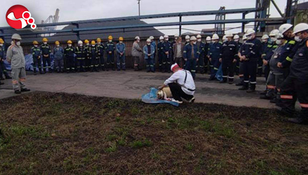 Kurban kesimi gerçekleştirildi