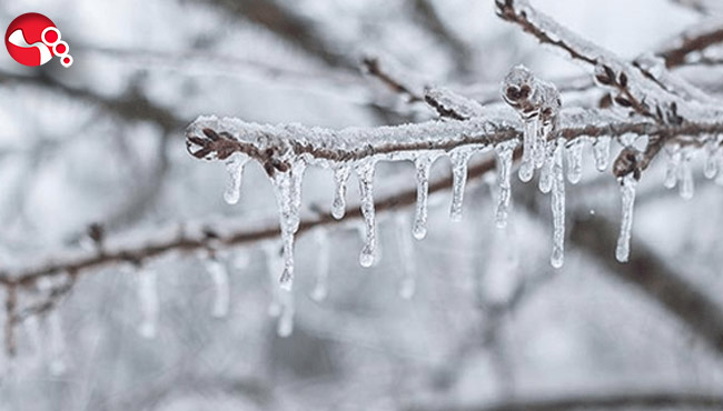 Bu geceden itibaren “don” bekleniyor!