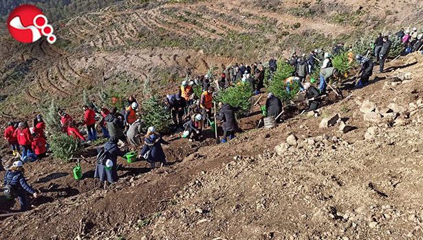 Fidanlar toprakla buluştu