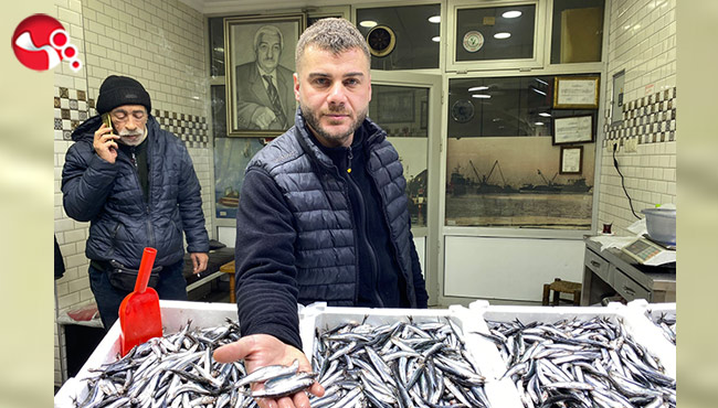 Balık bollaştı, fiyatlar arttı