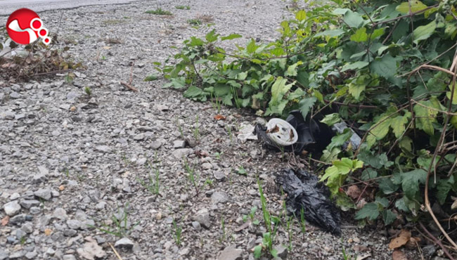 Yayaya çarpıp kaçmıştı… Araç ve sürücüs tespit edildi…