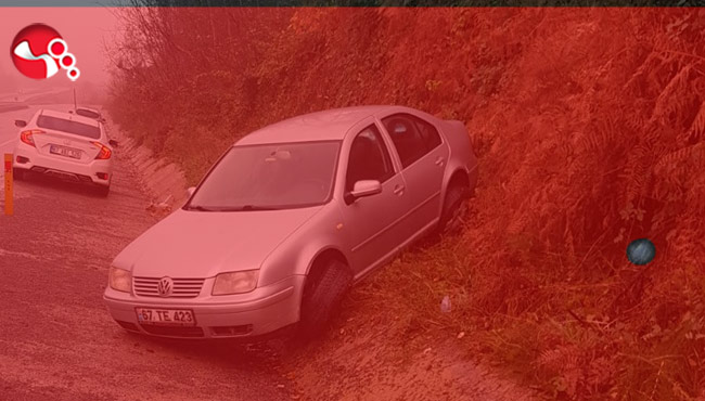 Otomobil yoldan çıktı: Yaralılar...