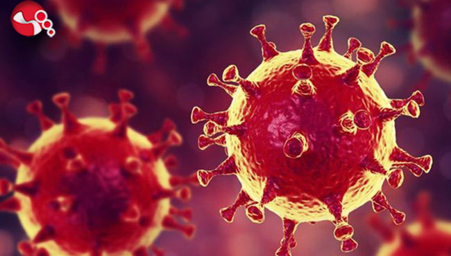 Zonguldak düşüşe geçti