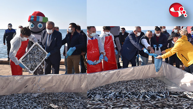 14. Hamsi Festivali başladı...