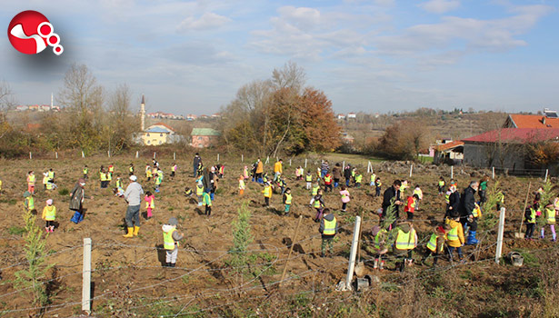 Şehit Öğretmenler için fidan dikildi