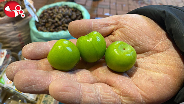 Erik’in fiyatı el yakıyor