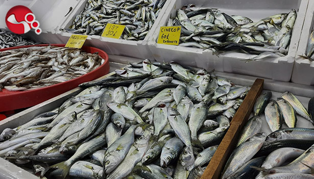 Fırtına balık tezgahlarını etkiledi