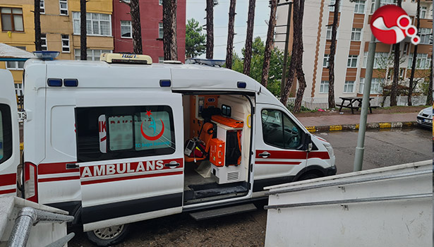 Ağaca çıkarken merdivenden düştü