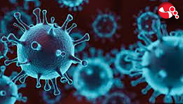 Koronavirüsle ilgili korkutan açıklama...