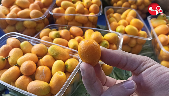 Şeker Hastalarının favorisi "Küçük Mücevher…"