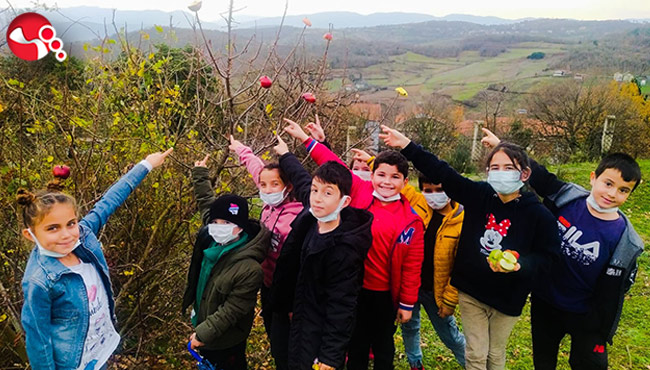 Minik öğrenciler aç kalan kuşları unutmadı