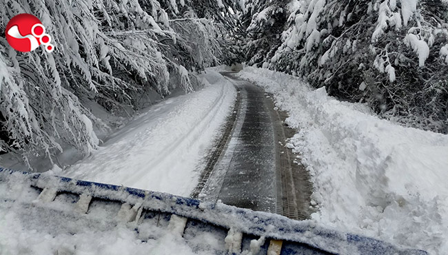 Kar yolları kapattı