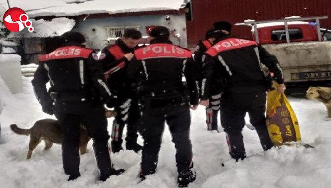 Emniyetten duyarlılık örneği