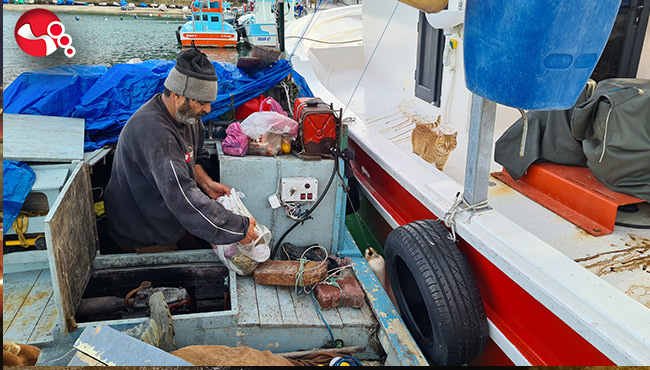 "Bu yalan dünya boş" dedi ve...