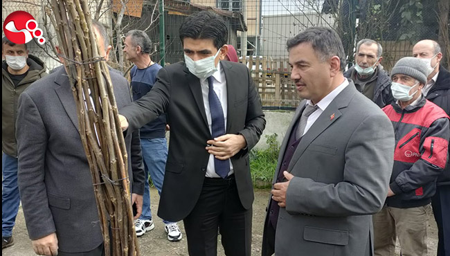 Fidan dağıtımları...