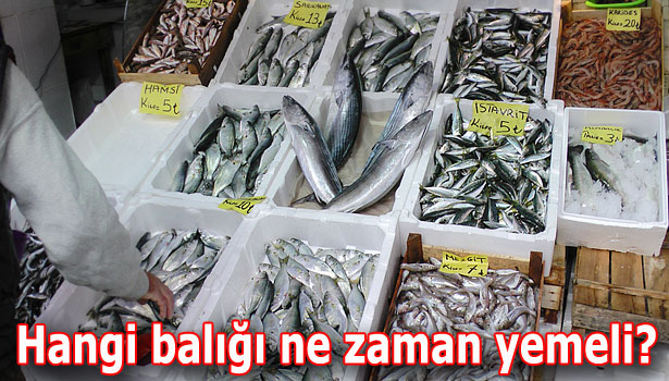 HANGİ BALIĞI YEMELİYİZ?