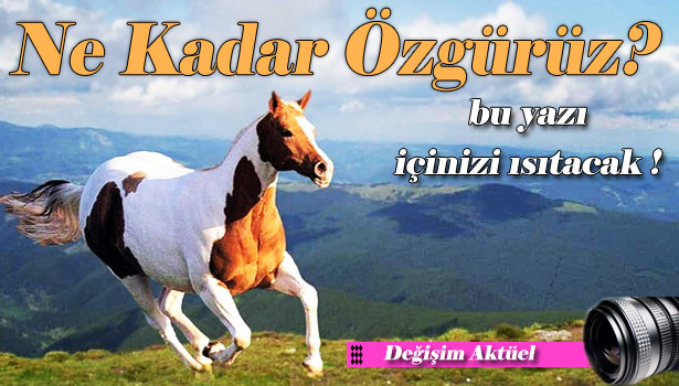 NE KADAR ÖZGÜRÜZ? NASIL ÖZGÜR OLURUZ?