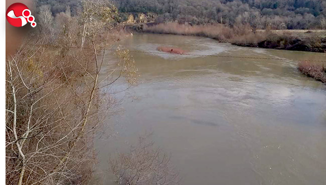 Irmağın suyu yükselince mahsur kaldı!