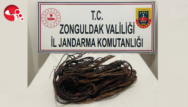 Kablo Hırsızları...