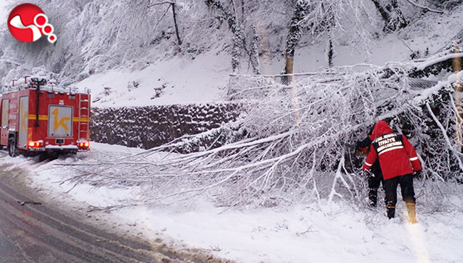 Ağaçlar devrildi, dallar kırıldı...