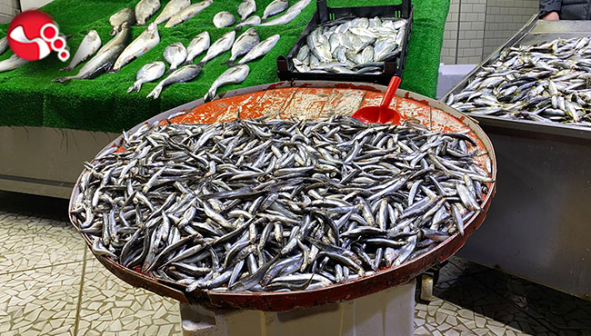 Hamsi tezgahlarda yerini aldı