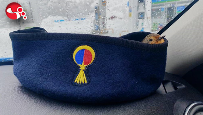 İşte günün en sıcak haberi...