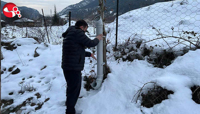 Her şey sokak hayvanları için