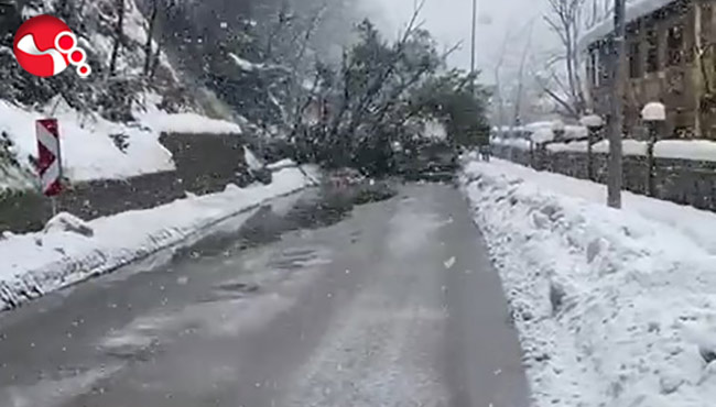 Heyelan nedeniyle...