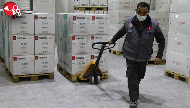 Bakan Koca duyurmuştu: Başladı...