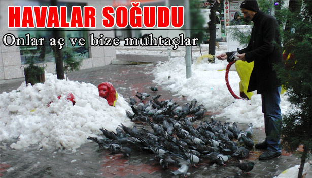 AÇ KALAN GÜVERCİNLERE EL UZATTILAR