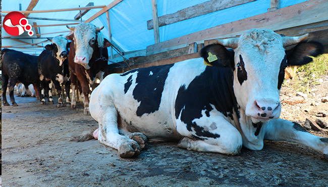 İstatistikler açıklandı