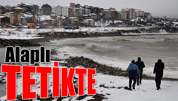 MENDİREK İÇİN İNCELEMELERDE BULUNULDU