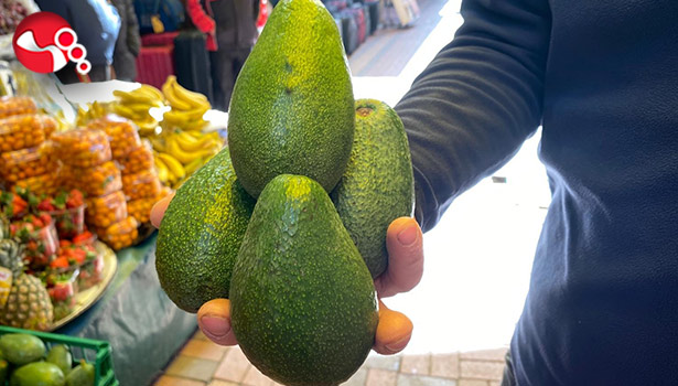 Bayanların ilk tercihi