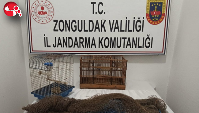 Usulsüz avcılık yaparken yakalandılar!