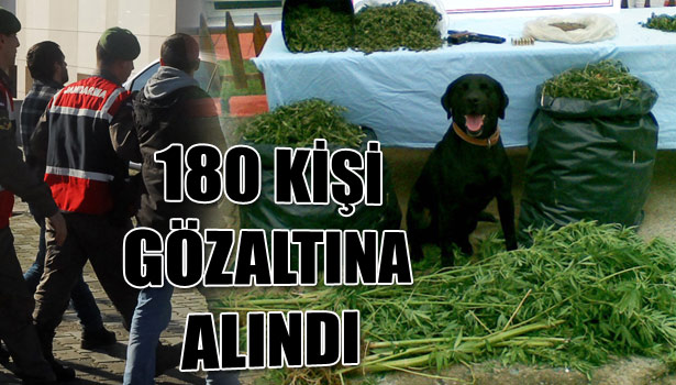 OLAYLARDA ARTIŞ VAR