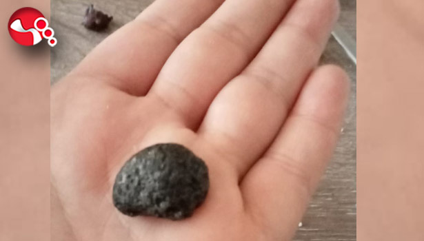 Zeytinden taş çıktı iddiası