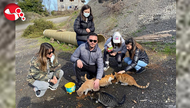 Avukatlar sokak hayvanlarını besledi