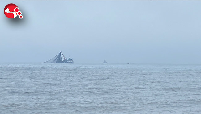 Havaların soğumasını fırsata çevirmek istediler