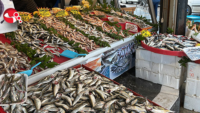 Balıkçılarda bolluk...