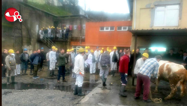 O panoda üretime başlandı