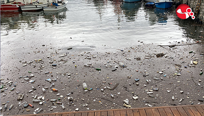 Şaşkına döndüler