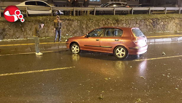 Köpeğe çarpmamak için...