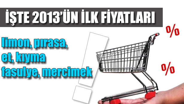 2013 YILI OCAK AYI FİYATLARI